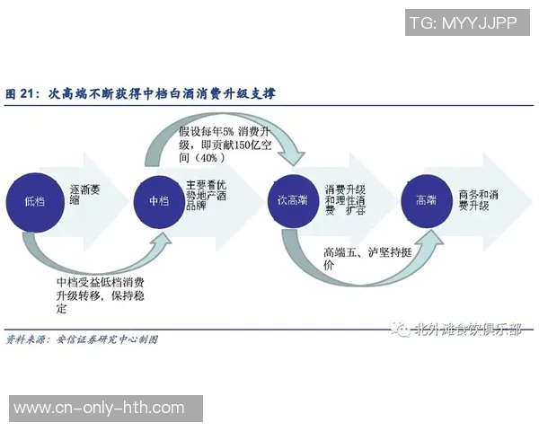 恒峰体育运动员的成长之路与未来发展展望分析